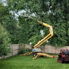 Best Tree Maintenance Programs  in Rome, GA