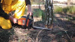 Best Lawn Watering Services  in Rome, GA