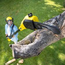 Best Leaf Removal  in Rome, GA