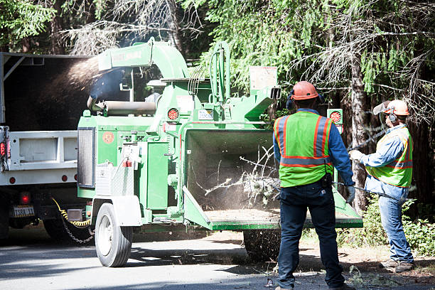 Best Utility Line Clearance  in Rome, GA